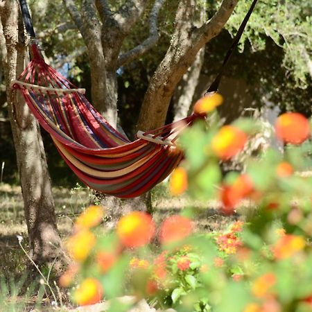 Finca Katia Capdepera  Ngoại thất bức ảnh